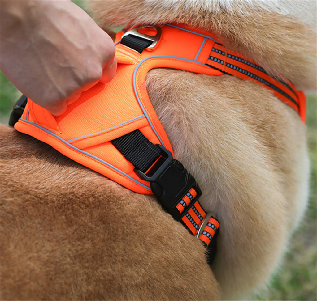 All-Weather Comfort Pet Harness with Handle